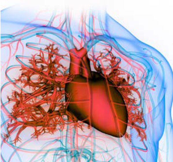 3rd International Cardiac Sarcoidosis Symposium - 2/23/2024 ...